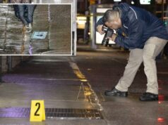 Policial fora de serviço da NYPD atira na cabeça de um homem após rastrear o carro roubado de sua esposa: fontes Policial fora de serviço da NYPD atira na cabeça de um homem após rastrear o carro roubado de sua esposa: fontes