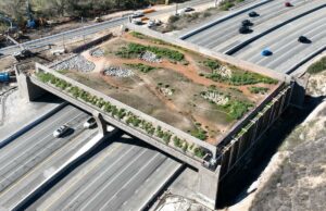 ‘Ponte para lugar nenhum’ da vida selvagem inacabada da Califórnia chega a US$ 100 milhões 'Ponte para lugar nenhum' da vida selvagem inacabada da Califórnia chega a US$ 100 milhões