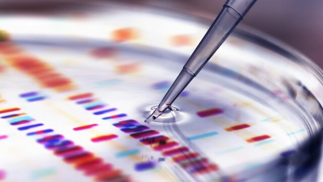 Por que os cientistas não conseguem rir Pipette adding sample to petri dish with DNA profiles in background