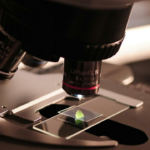 Por que os especialistas científicos indianos acreditam que STEM será crucial para o futuro