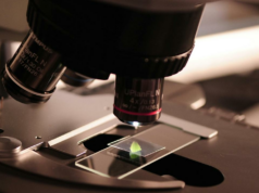 Por que os especialistas científicos indianos acreditam que STEM será crucial para o futuro Por que os especialistas científicos indianos acreditam que STEM será crucial para o futuro