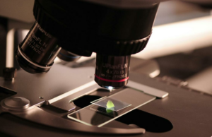 Por que os especialistas científicos indianos acreditam que STEM será crucial para o futuro Por que os especialistas científicos indianos acreditam que STEM será crucial para o futuro