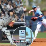 Por que os jogadores da MLB estão ficando mais curtos em suas páginas biográficas nesta temporada