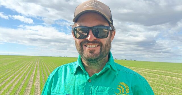 Preparativos para a semeadura em andamento apesar da incerteza no Preparativos para a semeadura em andamento apesar da incerteza no acesso aos principais insumos