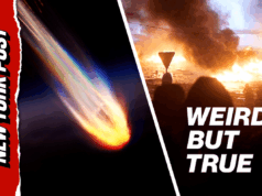 Previsões do fim do mundo? Você pode apostar nisso | Estranho, mas é verdade Previsões do fim do mundo? Você pode apostar nisso | Estranho, mas é verdade