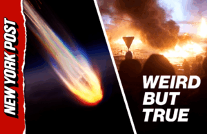 Previsões do fim do mundo? Você pode apostar nisso | Estranho, mas é verdade Previsões do fim do mundo? Você pode apostar nisso | Estranho, mas é verdade