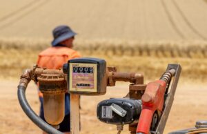 Primeiro papel higiênico, agora diesel: a compra em pânico está criando escassez? Primeiro papel higiênico, agora diesel: a compra em pânico está criando escassez?