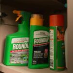 Imagem de microscópio eletrônico mostra bactéria Pseudomonas aeruginosa em forma de bastonete