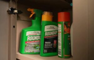 Produto improvável em milhões de garagens australianas pode estar alimentando superbactérias Imagem de microscópio eletrônico mostra bactéria Pseudomonas aeruginosa em forma de bastonete