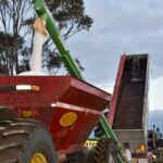 Produtor alerta que escassez de ureia pode levar a grande queda nas toneladas de trigo australiano