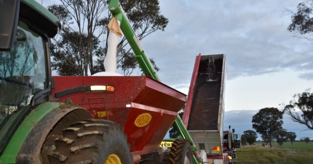 Produtor alerta que escassez de ureia pode levar a grande queda nas toneladas de trigo australiano
