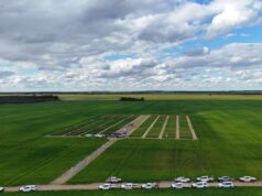 Programa de testes vai longe para fazer a diferença nos resultados financeiros dos produtores de grãos Programa de testes vai longe para fazer a diferença nos resultados financeiros dos produtores de grãos