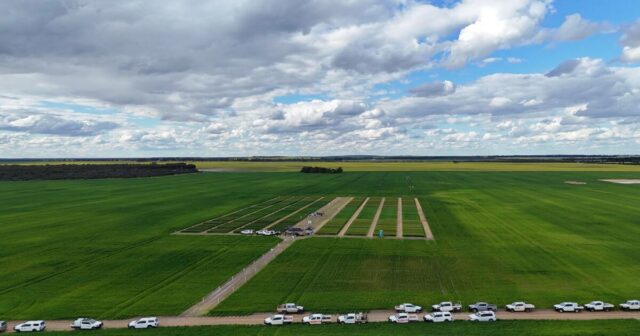 Programa de testes vai longe para fazer a diferença nos resultados financeiros dos produtores de grãos
