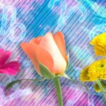 Qual é o significado do Equinócio da Primavera de 2026 na vida e na espiritualidade?