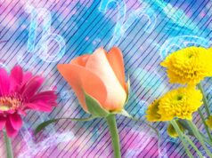 Qual é o significado do Equinócio da Primavera de 2026 na vida e na espiritualidade? Qual é o significado do Equinócio da Primavera de 2026 na vida e na espiritualidade?