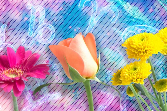 Qual é o significado do Equinócio da Primavera de 2026 na vida e na espiritualidade?
