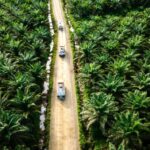 RI Didorong Perkuat Diplomasi Hadapi Dampak EUDR