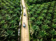 RI Didorong Perkuat Diplomasi Hadapi Dampak EUDR RI Didorong Perkuat Diplomasi Hadapi Dampak EUDR