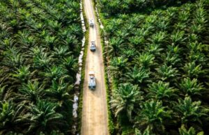 Satgas PKH Diminta Tegas Tindak Kasus Hutan Disulap Jadi Kebun Sawit Ribuan Hektare di Riau RI Didorong Perkuat Diplomasi Hadapi Dampak EUDR