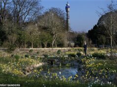 ROBERT HARDMAN: Jardim secreto no coração de Londres que é um memorial vibrante à falecida Rainha. Acho que ela teria adorado! Robert Hardman visita o jardim dedicado à falecida Rainha, amante da natureza