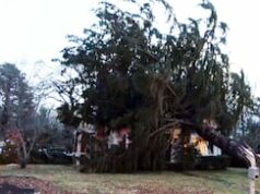 Relatórios cidade por cidade: Lista dos ventos mais fortes em Massachusetts, de tempestade de segunda a terça Relatórios cidade por cidade: Lista dos ventos mais fortes em Massachusetts, de tempestade de segunda a terça