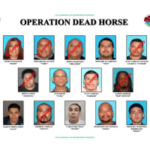 A repressão federal tem como alvo a rede de jogos de azar e drogas da 18th Street em MacArthur Park. Cartaz composto de aplicação da lei intitulado “Operação Cavalo Morto”, exibindo quinze fotos de supostos membros e associados de gangues da 18th Street, muitos deles rotulados como “Em Custódia”, com nomes e apelidos abaixo de cada foto e logotipos de agências federais e locais na parte superior.