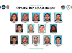 Repressão federal tem como alvo a rede de jogos de azar e drogas da 18th Street em MacArthur Park A repressão federal tem como alvo a rede de jogos de azar e drogas da 18th Street em MacArthur Park. Cartaz composto de aplicação da lei intitulado “Operação Cavalo Morto”, exibindo quinze fotos de supostos membros e associados de gangues da 18th Street, muitos deles rotulados como “Em Custódia”, com nomes e apelidos abaixo de cada foto e logotipos de agências federais e locais na parte superior.