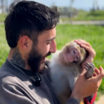 Residente libanês fica para trás com macaco de estimação, apesar das ordens de evacuação