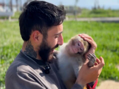 Residente libanês fica para trás com macaco de estimação, apesar das ordens de evacuação Residente libanês fica para trás com macaco de estimação, apesar das ordens de evacuação