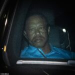 Tiger Woods supostamente se recusa a contratar um motorista porque quer proteger sua privacidade