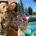 Reviravolta perturbadora no assassinato da glamorosa divorciada de Los Angeles - enquanto o segredo trans do amante do brinquedo inflama a família