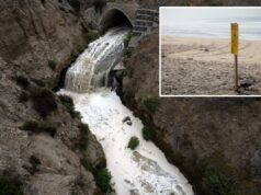 San Diego finalmente tenta impedir a vil causa da bactéria que fecha as praias há quatro anos Detritos e lixo, incluindo garrafas plásticas, acumularam-se em uma explosão de lixo no rio Tijuana, em Imperial Beach, Califórnia.