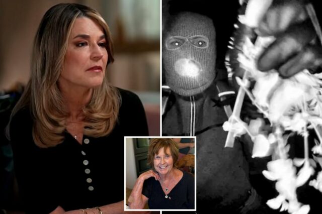 Savannah Guthrie acredita que a maioria das notas de resgate Savannah Guthrie acredita que a maioria das notas de resgate eram dinheiro doentio – mas duas provavelmente eram genuínas