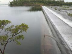 ‘Sem precedentes’: moradores de Darwin evitam ferver água após grande transbordamento de barragem PowerWater disse que tem