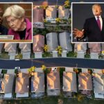 Senado aprova política habitacional de Elizabeth Warren – com alguns aliados conservadores improváveis