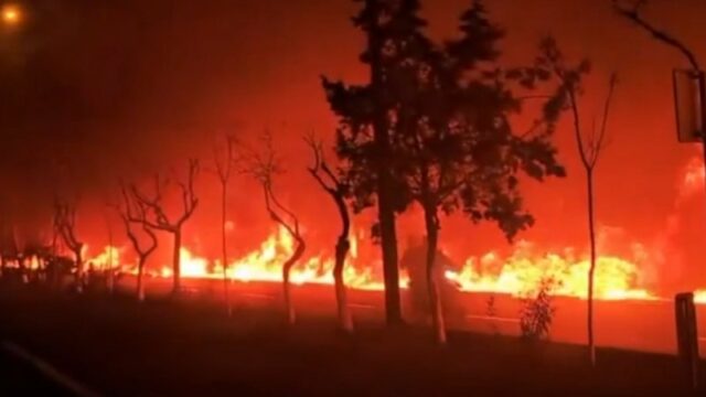 Sétimo soldado americano morto
