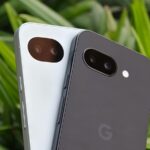 Pixel 10 Pro descansando em uma planta verde