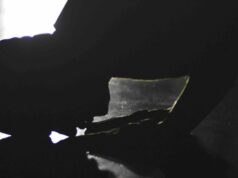 Shalat Jamak saat Mudik Lebaran? Ini Syarat e Bacaan Niatnya Shalat Jamak saat Mudik Lebaran? Ini Syarat e Bacaan Niatnya