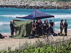 Shellharbour Beach, NSW: Horror quando dois turistas britânicos se afogam em uma popular praia australiana depois que testemunhas corajosas tentaram salvá-los Um homem e uma mulher de 60 anos morreram afogados na praia de Shellharbour na quarta-feira