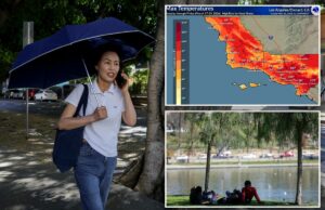 SoCal enfrenta onda de calor ‘perigosa’ – e com o que os meteorologistas estão preocupados SoCal enfrenta onda de calor ‘perigosa’ – e com o que os meteorologistas estão preocupados