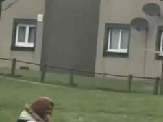 Suspeito de ataque com faca em Edimburgo ‘tentou entrar na creche’: homem ‘que deixou duas pessoas feridas e saqueou a loja’ é preso após impasse de sete horas com a polícia Imagens compartilhadas nas redes sociais parecem mostrar um homem segurando duas armas, uma em cada mão