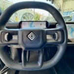 gato piscante pássaro verde