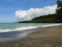 Terremoto de magnitude 7,3 sacode Vanuatu ao longo do Anel de Fogo do Pacífico Praia de Matantas, na ilha do Espírito Santo, Vanuatu, na fronteira com a Área de Conservação de Vatthe.