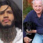 Foto de Alberto Rafael Ferrer Cabrera.