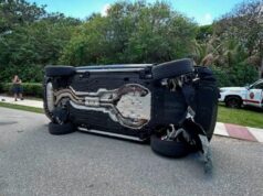 Tiger Woods se declara inocente de DUI em acidente de carro onde foram encontrados opioides Tiger Woods se declara inocente de DUI em acidente de carro onde foram encontrados opioides