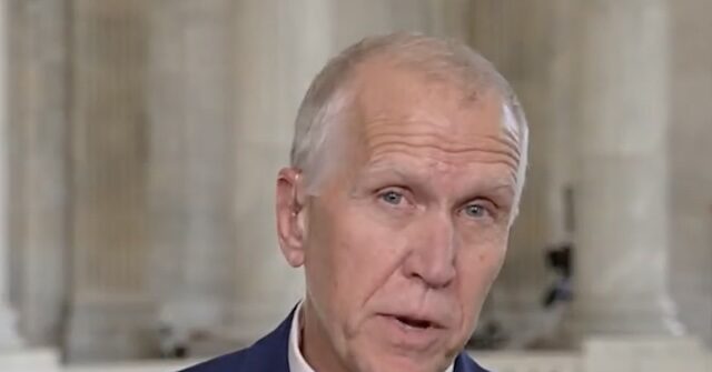 Tillis: Stephen Miller é um 'grande problema nesta administração' - Tillis: Stephen Miller é um 'grande problema nesta administração' - ele deveria ir