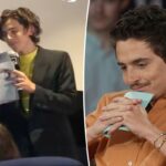 Timothée Chalamet criticou o balé e a ópera anos antes dos comentários virais