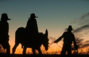 Título da competição de Warwick Thornton em Berlim ‘Wolfram’ pontua vendas para Paradise City (EXCLUSIVO) Título da competição de Warwick Thornton em Berlim 'Wolfram' pontua vendas para Paradise City (EXCLUSIVO)