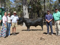 Touro ‘Real Deal’ lidera o caminho para a primeira venda de reprodutores no Sudoeste Touro 'Real Deal' lidera o caminho para a primeira venda de reprodutores no Sudoeste