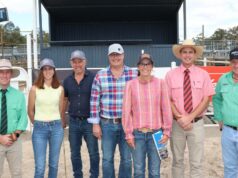 Touro de alto preço é um dos primeiros filhos de um touro americano oferecido na Austrália O leiloeiro Nutrien Livestock e representante de Albany East, James Culleton (à esquerda), Jenna Athans e Brad Patterson, garanhão Bullock Hills Black Simental, Woodanilling, Tom e Lizzy Baker, Woonallee Simmental, garanhões Black Simmental e SimAngus, Millicent, South Australia, gerente de gado Elders South West, Michael Carroll e agente da Nutrien Livestock Bridgetown, Ben Cooper, na venda anual de touros Bullock Hills Black Simmental em Boyanup na semana passada como parte do novo Black Venda de touro de infusão com garanhão Gumnut Downs Angus. Os Bakers compraram dois touros de um ano da LRS Dutton 611K pelo preço máximo de venda de US$ 22.000 e US$ 10.000. Foto de Kane Chatfield.